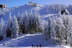 Scoala-de-ski-din-Poiana-Brasov-Romania-cu-experienta-din-2007-centru-ski-bootfitting-ski-service-tunung-ski-boots